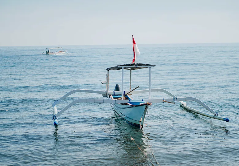 Dolphin Watching at Lovina - Image 4
