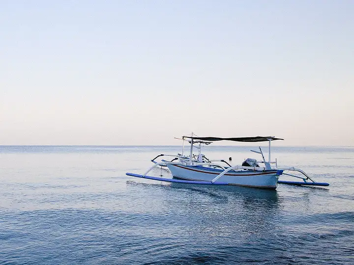 Dolphin Watching at Lovina - Image 5